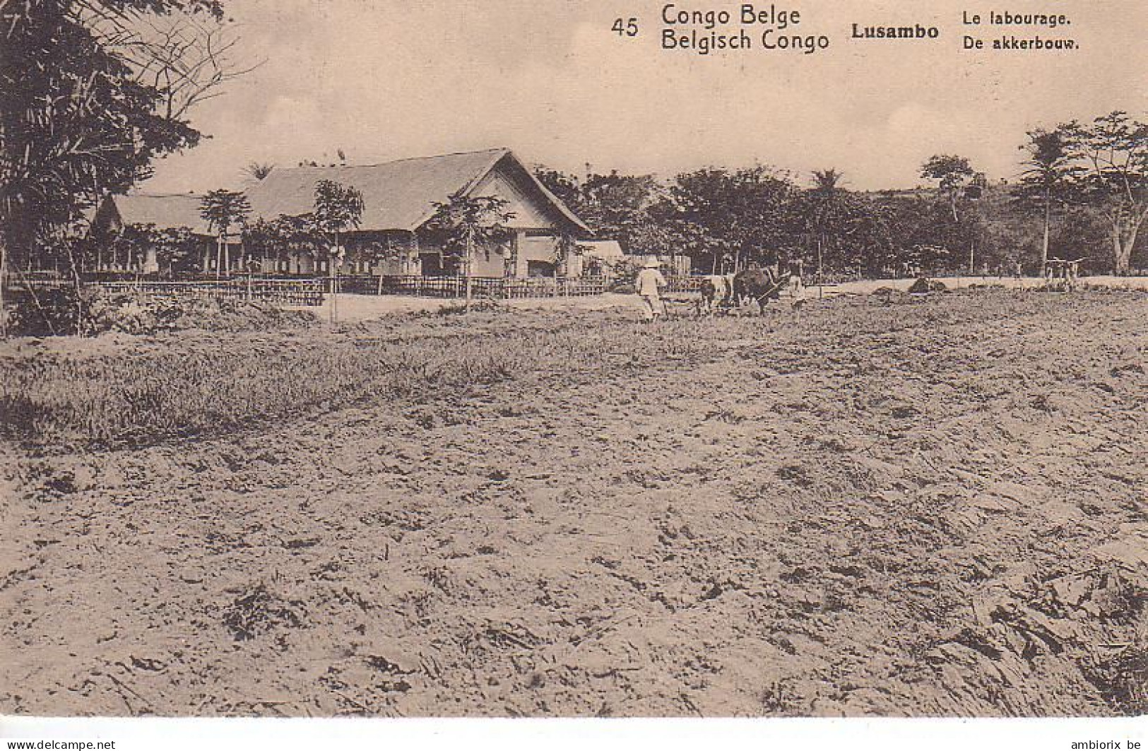 Etier Postal Congo Neuf N° 42 - 45 - Lusambo - Le Labourage - Interi Postali