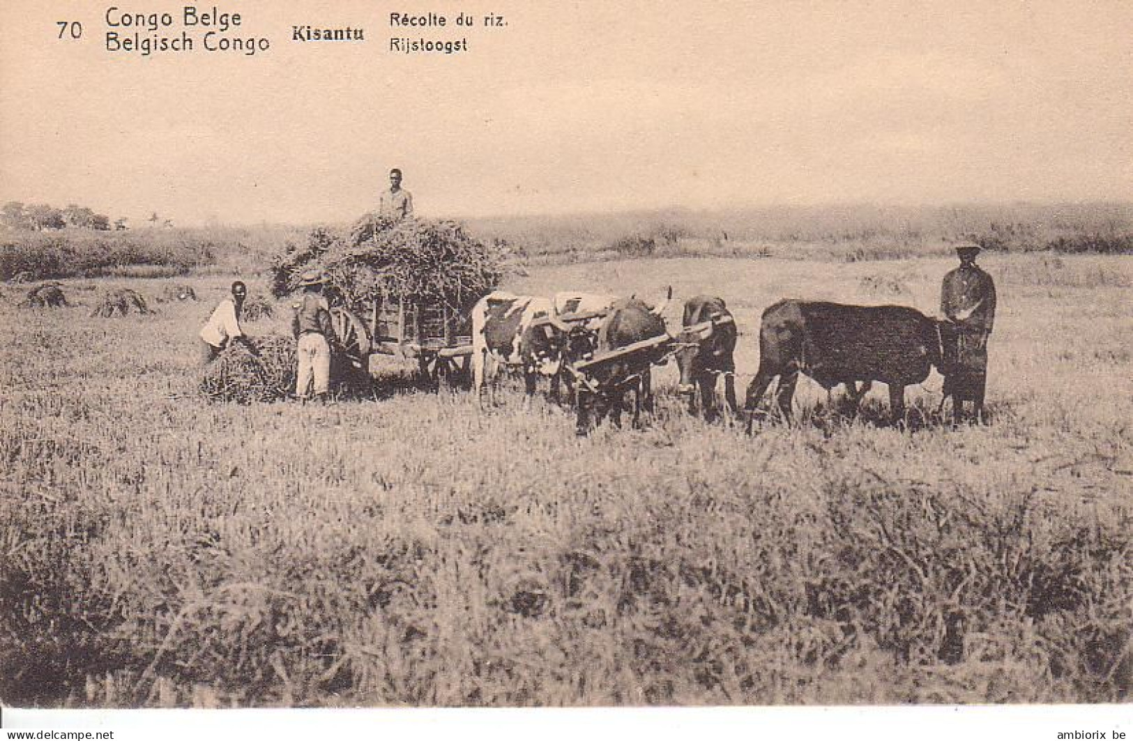 Etier Postal Congo Neuf N° 42 - 70 - Kisantu - Récolte Du Riz - Entiers Postaux