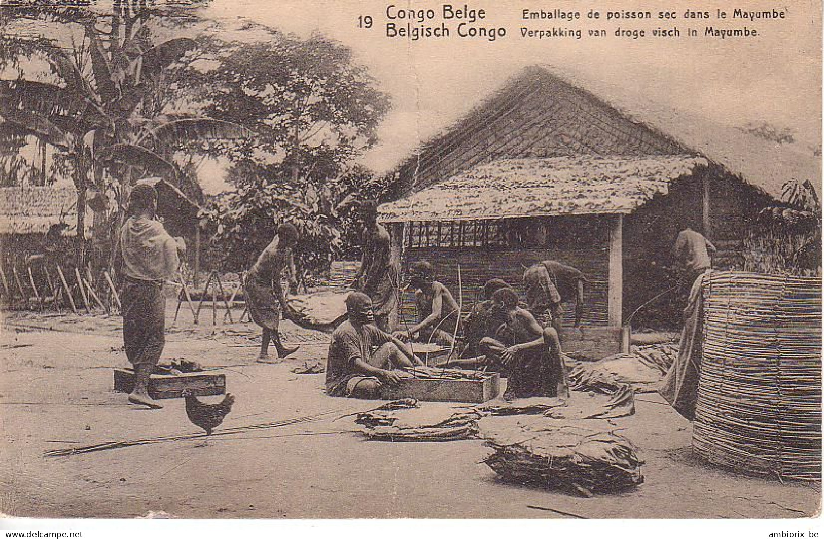 Etier Postal Congo écrit Mais Non-oblitéré N° 42 - 19 - Emballage De Poisson Sec Dans Le Mayumbe - Stamped Stationery