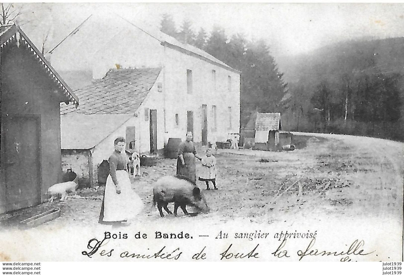 Julot1939 ...   BOIS De BANDE ..-- SANGLIER Apprivoisé . 1904 Vers CHARLEROI ( Melle Juliette SEVRIN ) . - Nassogne