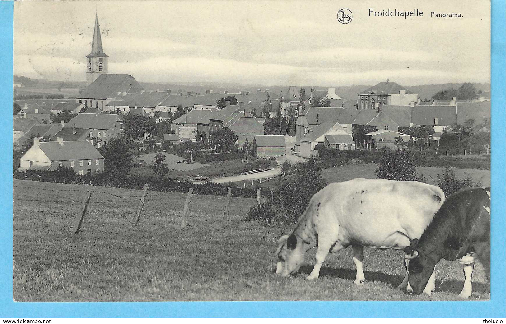 Froidchapelle (Hainaut)-1928-Belle Vue Sur Le Village Et Son Eglise-Vaches-Edit.Nels-->Mathieu-Wérion, Froidchapelle - Froidchapelle