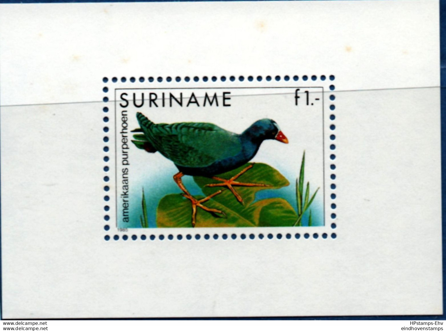 Suriname 1985 New World Purple Gallinule Block MNH 2108.2283 Porphyrio Martinica - Grues Et Gruiformes