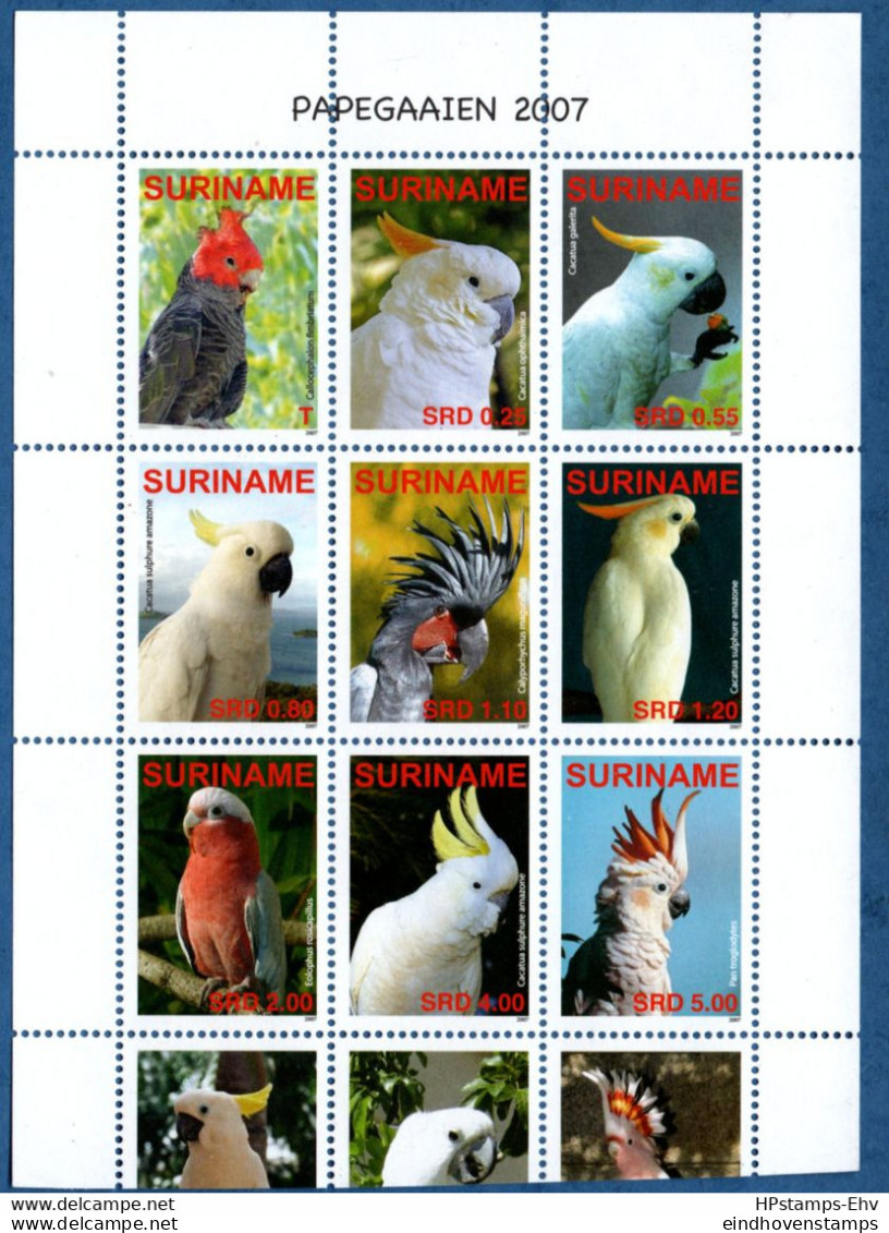 Suriname 2007 Parrots, Birds 9-value MNH Pan Troglydes, Cacatua, Eolophus, Calyporhuchus, Calloceplahon - Hummingbirds