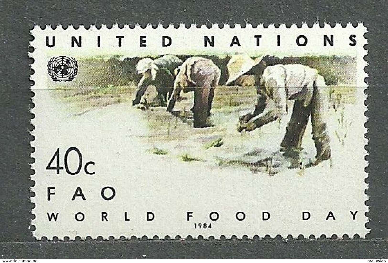 United Nations New York, UN, 1984 (#443a), World Food Day, Agriculture, Planting Rice, Landwirtschaft, FAO, Reis Pflanze - Contre La Faim