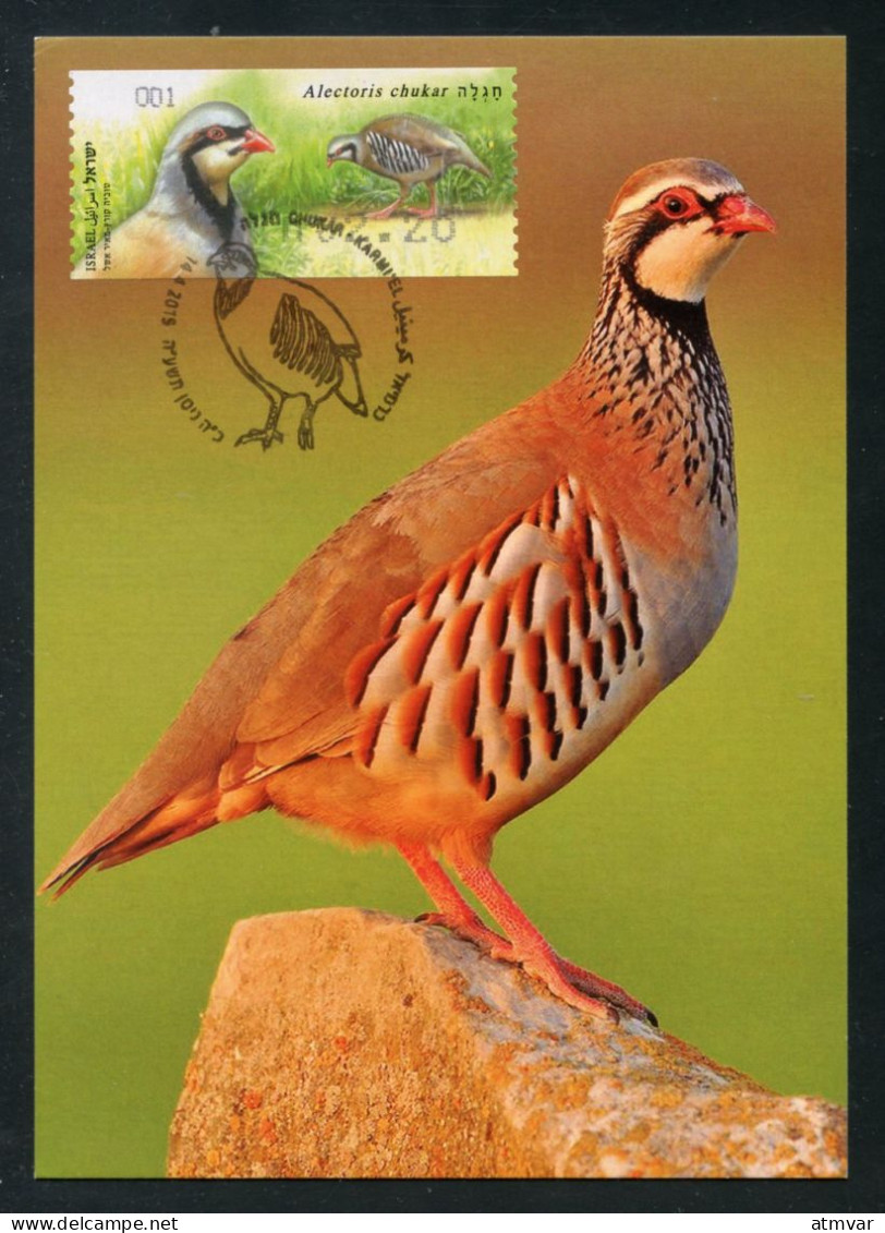 ISRAEL (2015) Carte Maximum Card ATM - Alectoris Chukar / Chukar Partridge / Perdiz / Perdrix Choukar - Bird, Oiseau - Maximumkarten