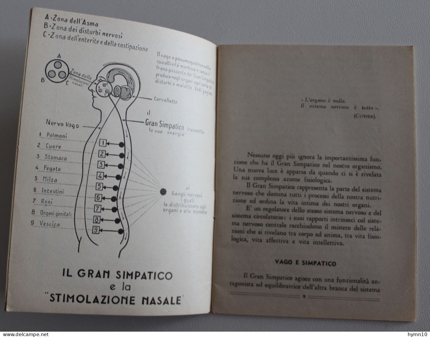 1932+MEDICINA+IL GRAN SIMPATICO+Manuale Di SIMPATICOTERAPIA+38 Pagine-e832 - Médecine, Psychologie