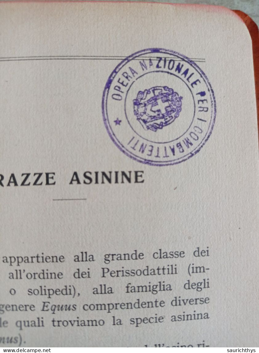 Biblioteca Agricola Nicola Tortorelli L'asino G. B. Paravia 1927 Timbro Opera Nazionale Combattenti - Andere & Zonder Classificatie
