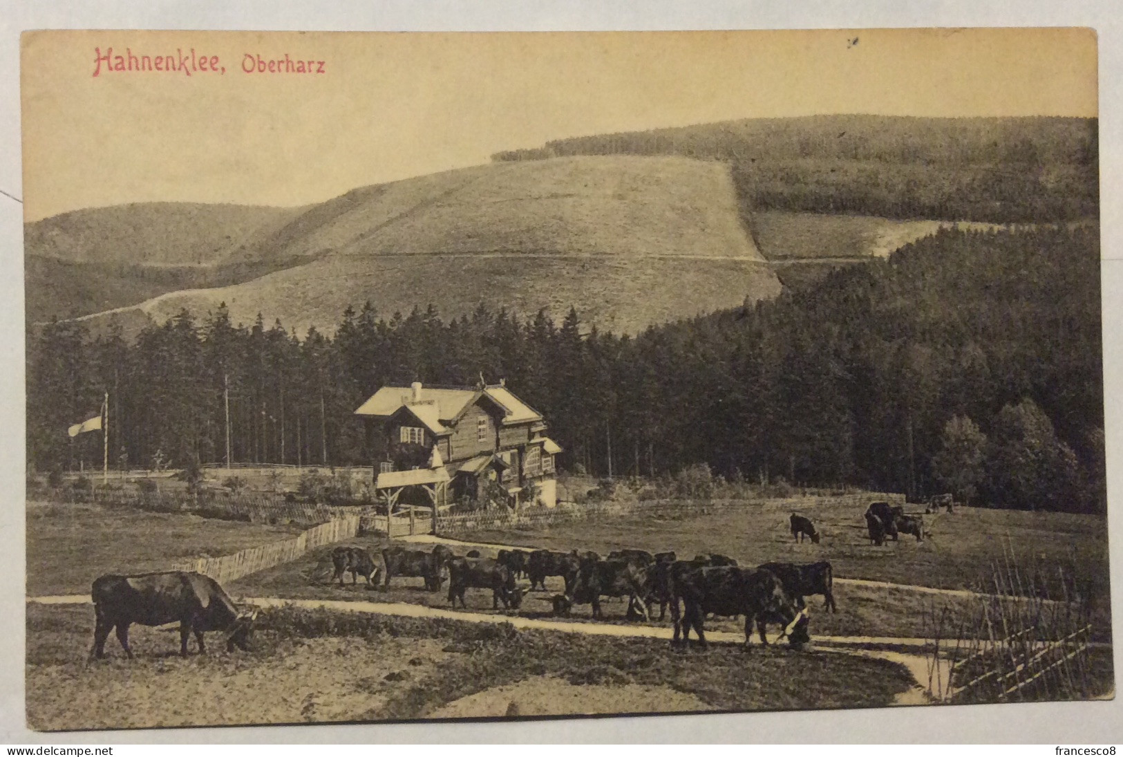 Hahnenklee , Oberharz - Oberharz