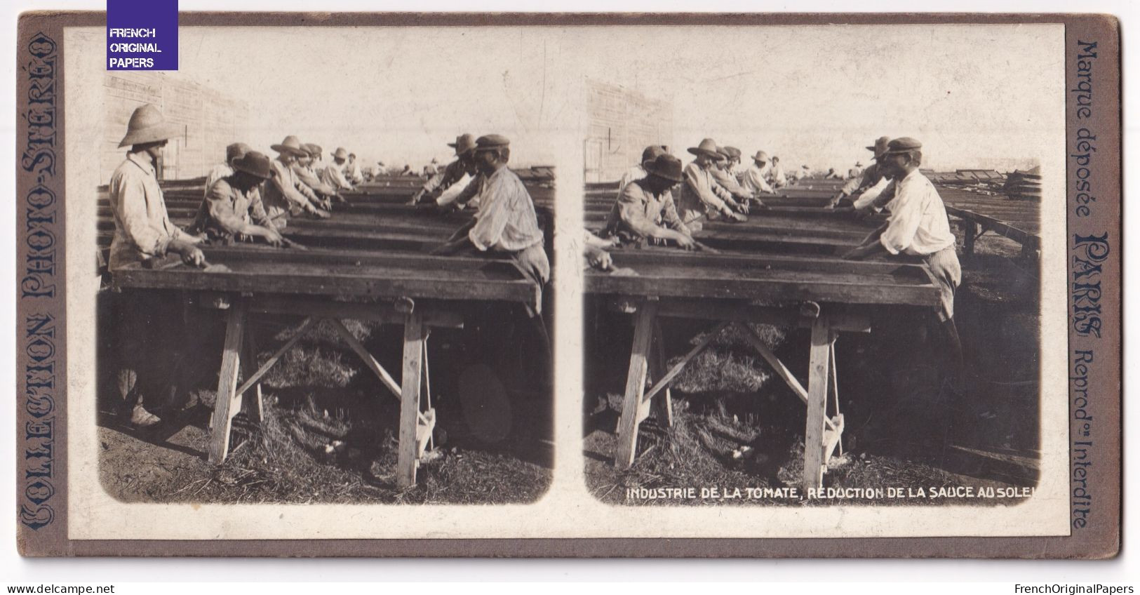 Sicile / Industrie Tomate - Photo Animée 1908- Italia Foto Stereo Pomodoro Sicilia Pomodori Siciliani C13-33 - Stereo-Photographie