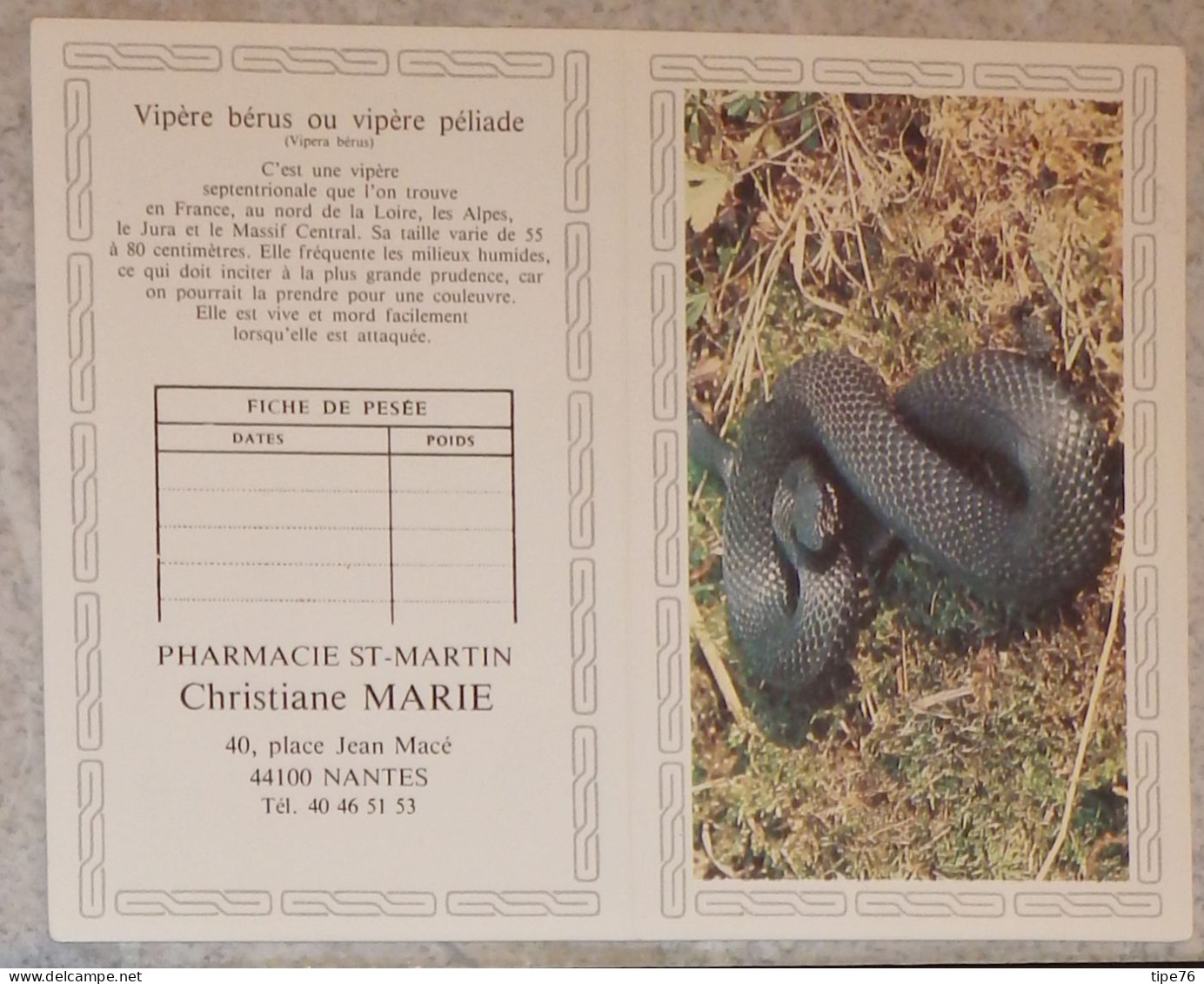 Petit Calendrier De Poche 1989 Vipère Bérus Serpent Pharmacie Nantes Loire Atlantique Création Engelhard - Small : 1981-90