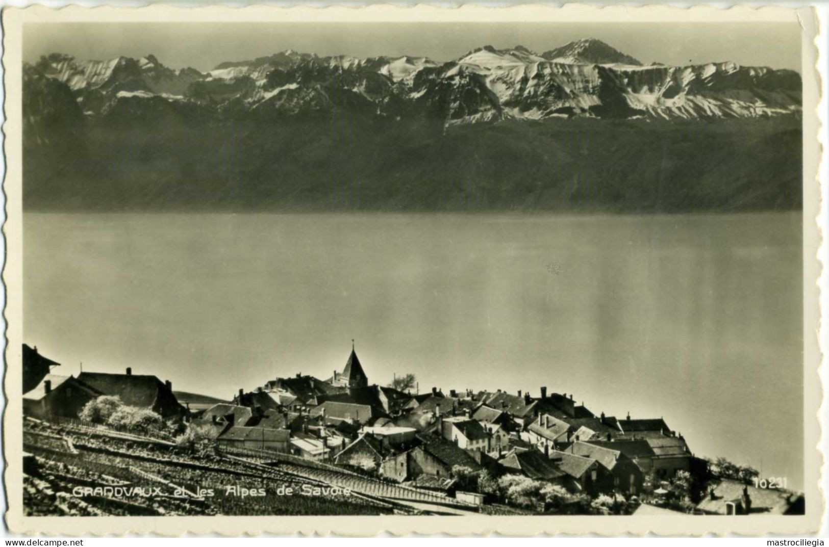 GRANDVAUX  BOURG-EN-LAVAUX  VD  Et Les Alpes De Savoie  Panorama - Grandvaux