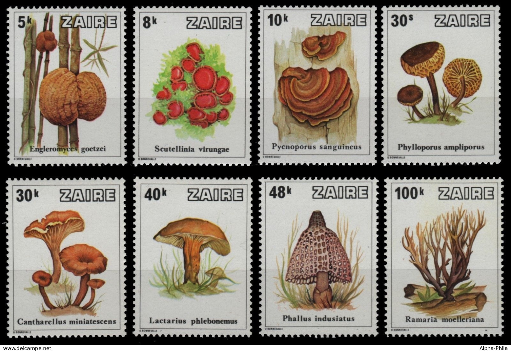 Kongo-Zaire 1979 - Mi-Nr. 597-604 A ** - MNH - Pilze / Mushrooms - Neufs