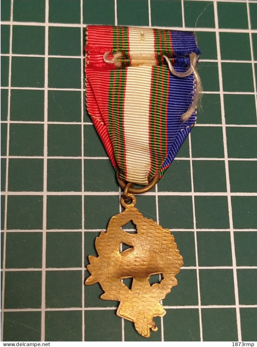 MEDAILLE UNION NATIONALE DES COMBATTANTS UNC, FRANCE - Frankreich