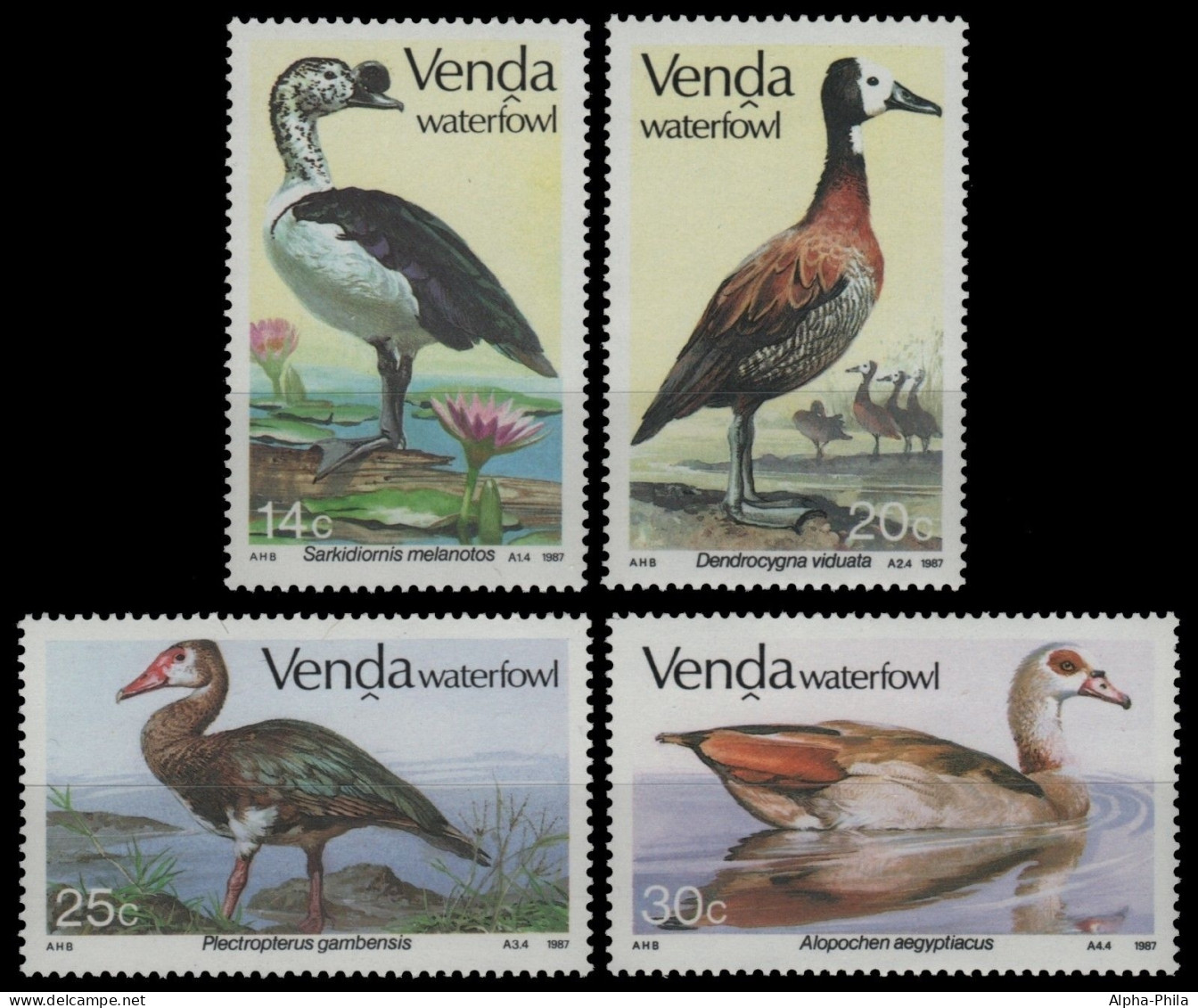 Venda 1987 - Mi-Nr. 150-153 ** - MNH - Vögel / Birds - Venda