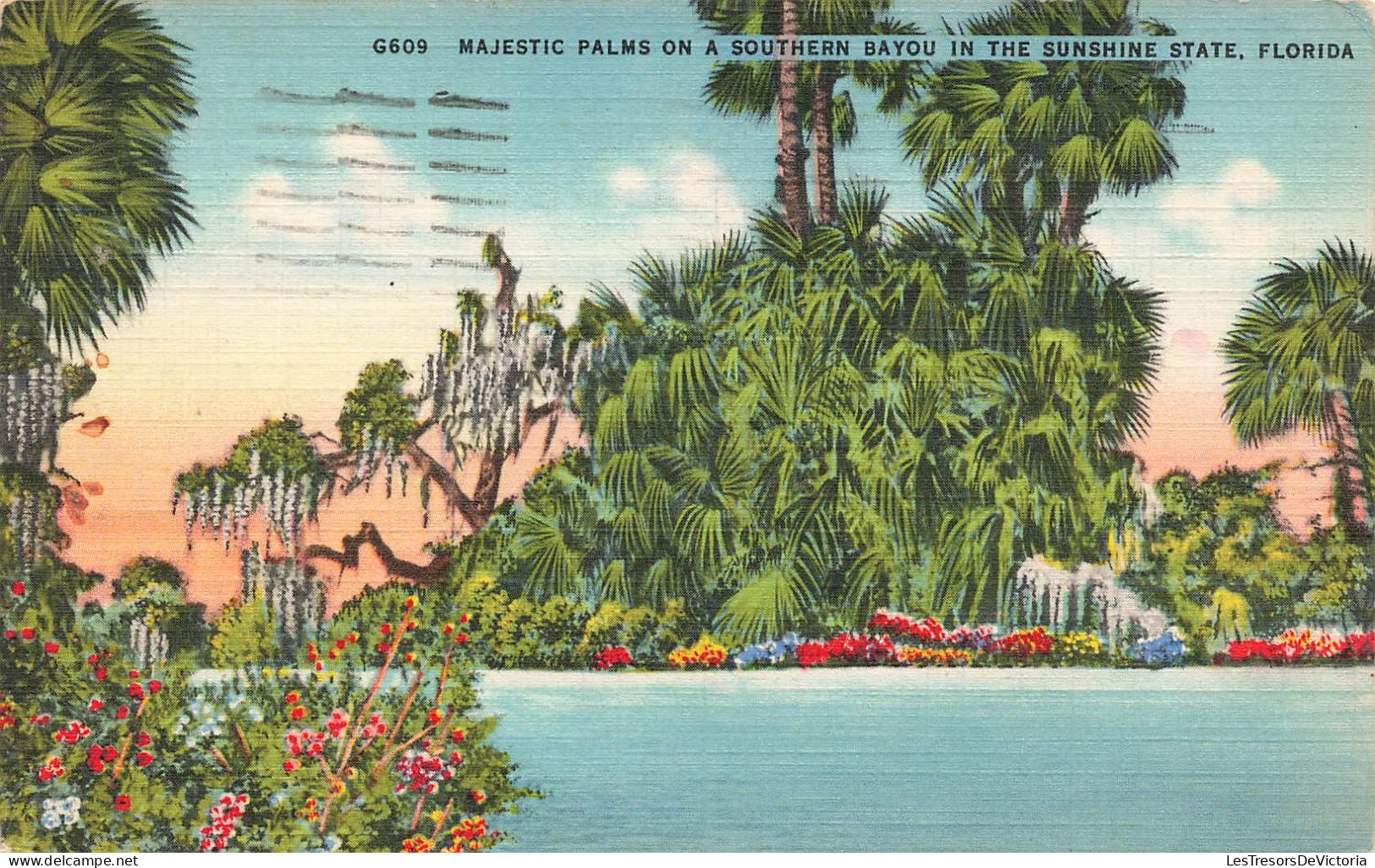 ETATS-UNIS - Florida - Majestic Palms On A Southern Bayou In The Sunshine - Colorisé - Carte Postale - Other & Unclassified