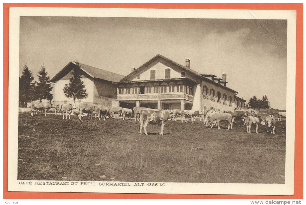 SANG021, Café Restaurant Du Petit Sommartel, Les Ponts De Martel, Pâturage, Vaches, Non  Circulée , 1 Pli Non Visible - Ponts-de-Martel