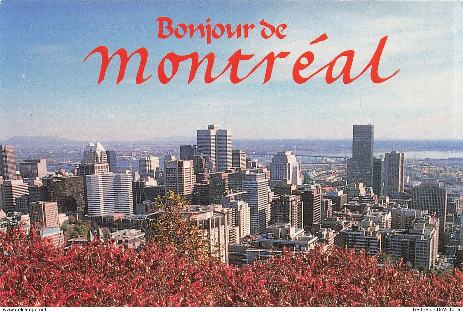 CANADA - Bonjour De Montréal - Vue Panoramique - Erables - Grattes Ciels  - Carte Postale - Montreal