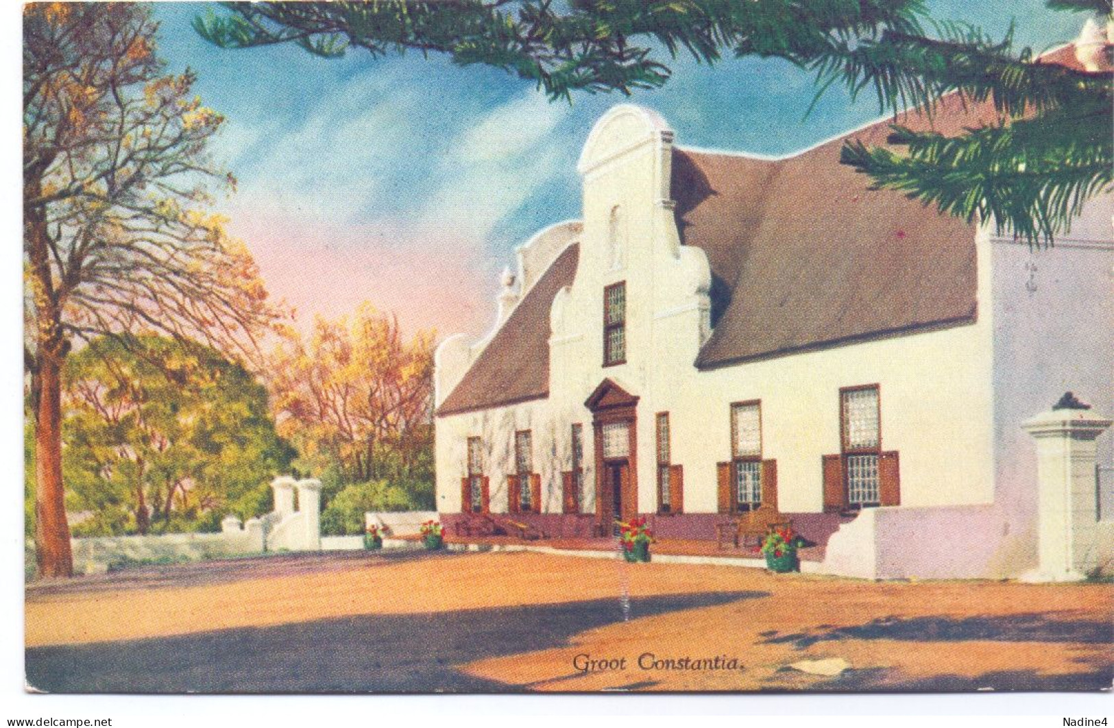 PC - South Africa - Groot Constantia - Afrique Du Sud