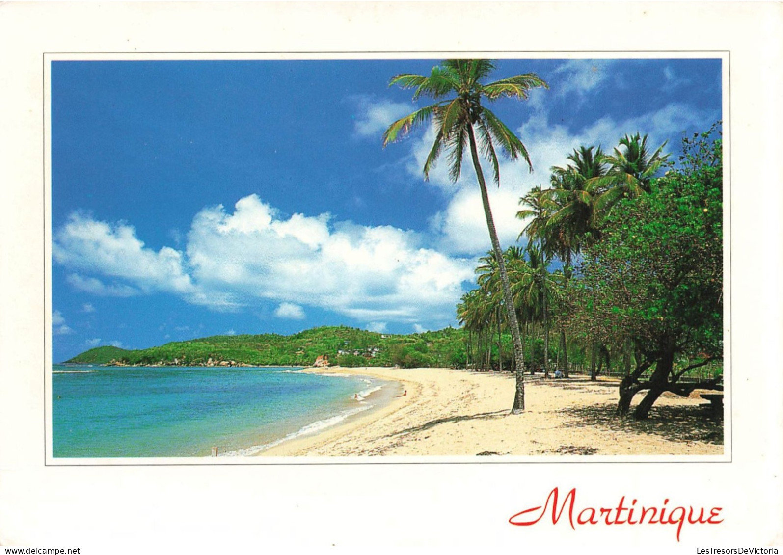 FRANCE - Martinique - Anse L'Etang - Tartane - Cocotier - Carte Postale - Autres & Non Classés