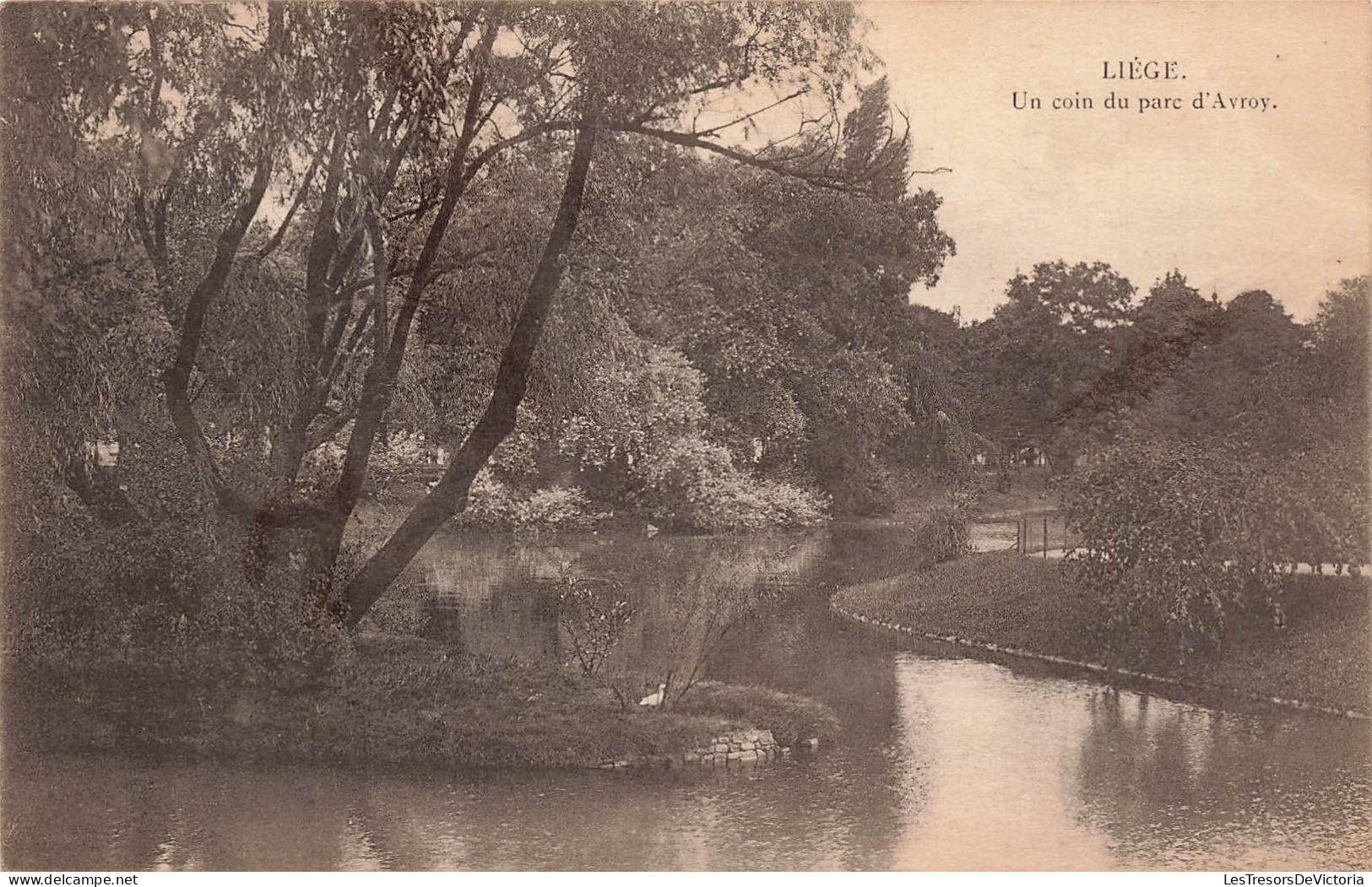 BELGIQUE - Liège - Un Coin Du Parc D'Avroy - Carte Postale Ancienne - Liege