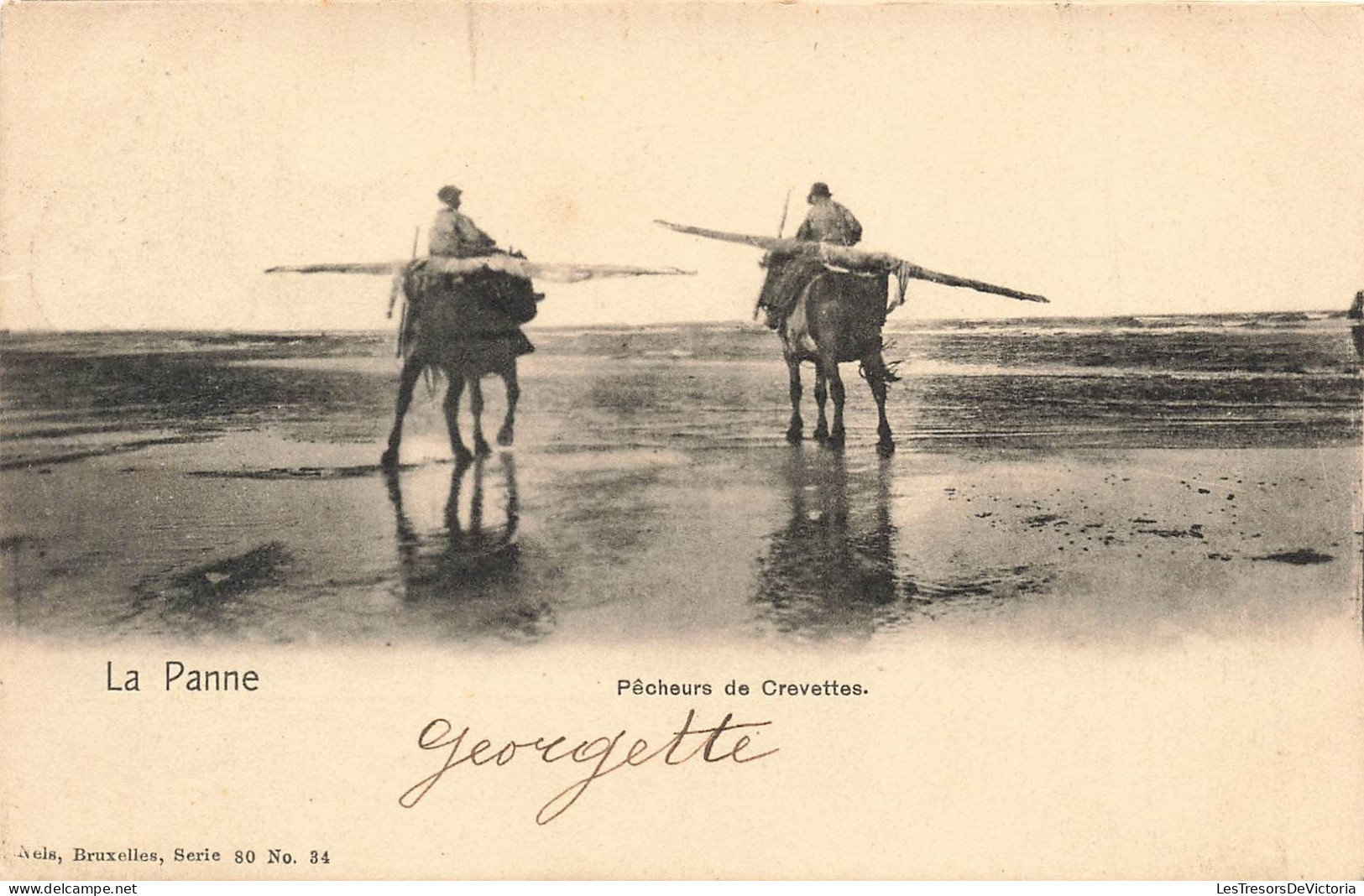 BELGIQUE - La Panne - Pêcheurs De Crevettes - Ânes - Carte Postale Ancienne - De Panne