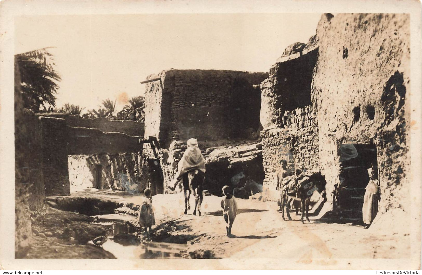 ALGERIE - Scènes Et Types - Dans Un Village - Carte Postale Ancienne - Scènes & Types