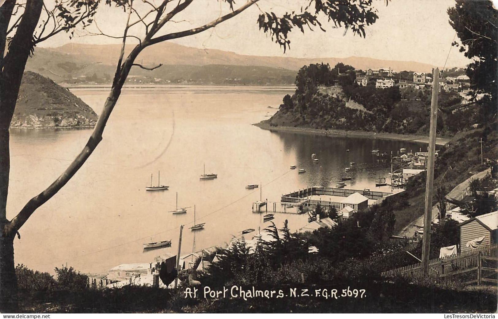 NOUVELLE ZELANDE - Au Port Chalmers - Carte Postale Ancienne - Nouvelle-Zélande