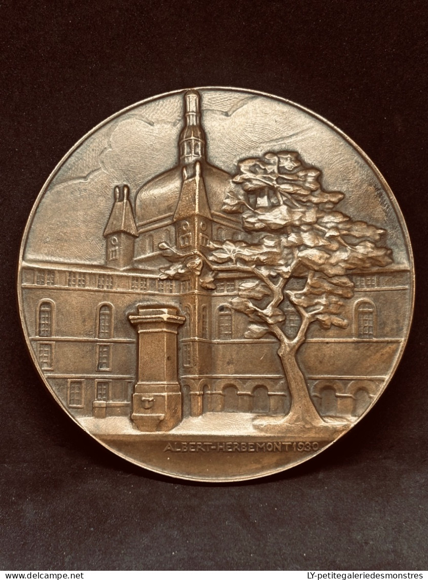 °OB7 Médaille Bronze 463gr Poinçon Gravé Sur La Tranche Internat Des Hôpitaux De Lyon - Autres & Non Classés