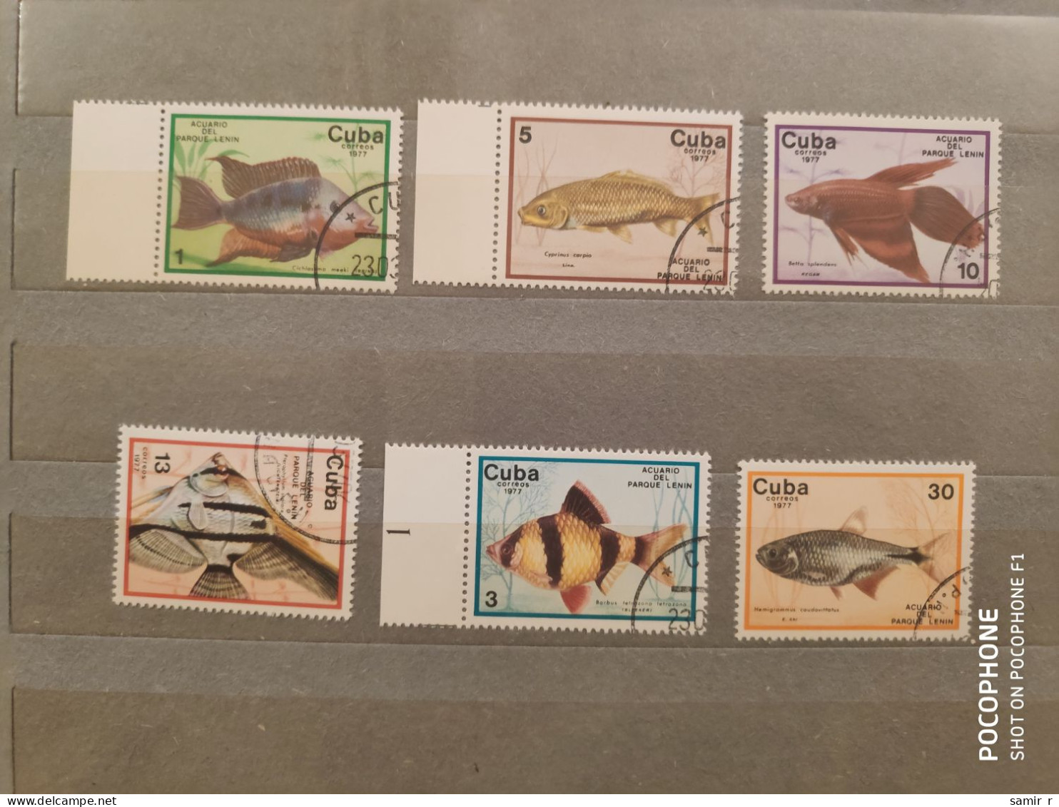 1977	Cuba	Fishes (F69) - Used Stamps