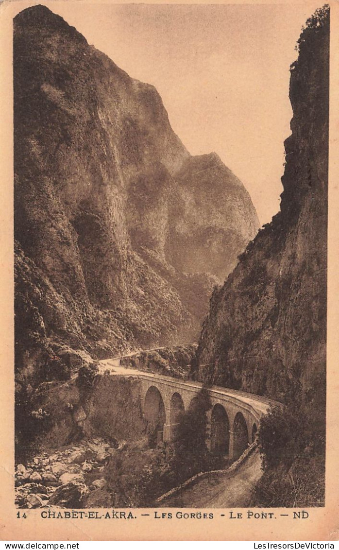 ALGERIE - Chabet El Akra - Les Gorges - Le Pont - ND Phot - Carte Postale Ancienne - Autres & Non Classés