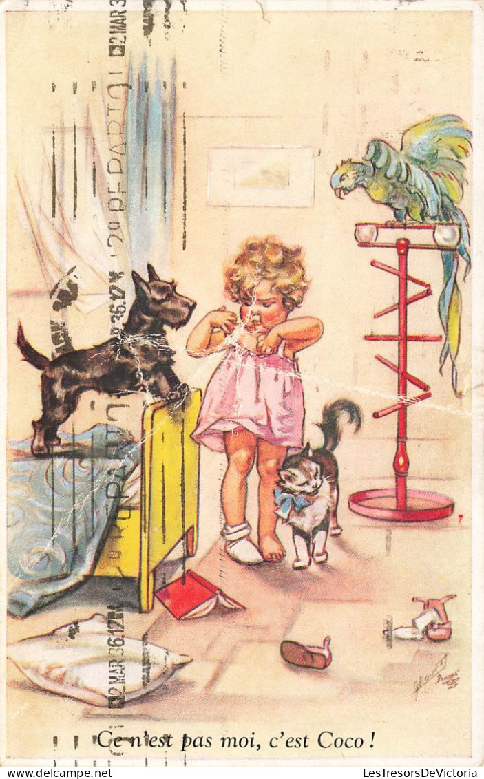 ILLUSTRATEUR - BOURET GERMAINE - Ce N'est Pas Moi, C'est Coco ! - Avec Chien, Chat Et Perroquet - Carte Postale Ancienne - Bouret, Germaine