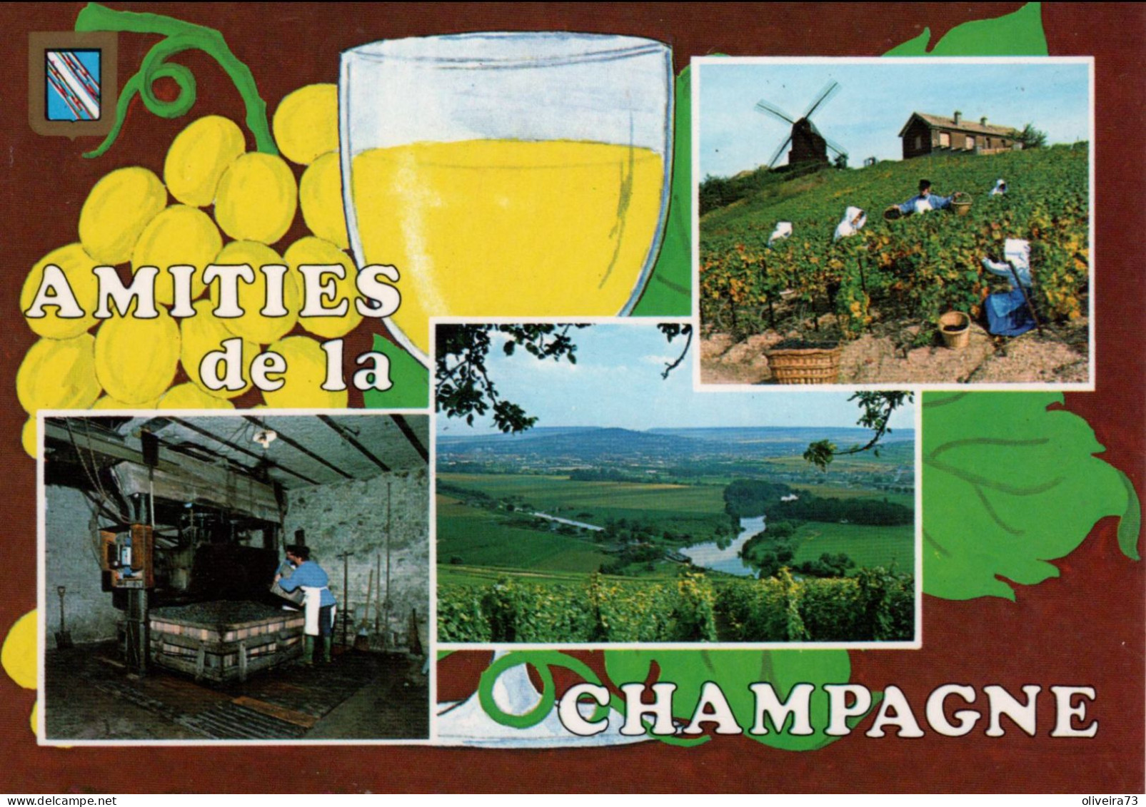 CHAMPAGNE - Vendanges - Vignobles Et Pressoir - Champagne-Ardenne