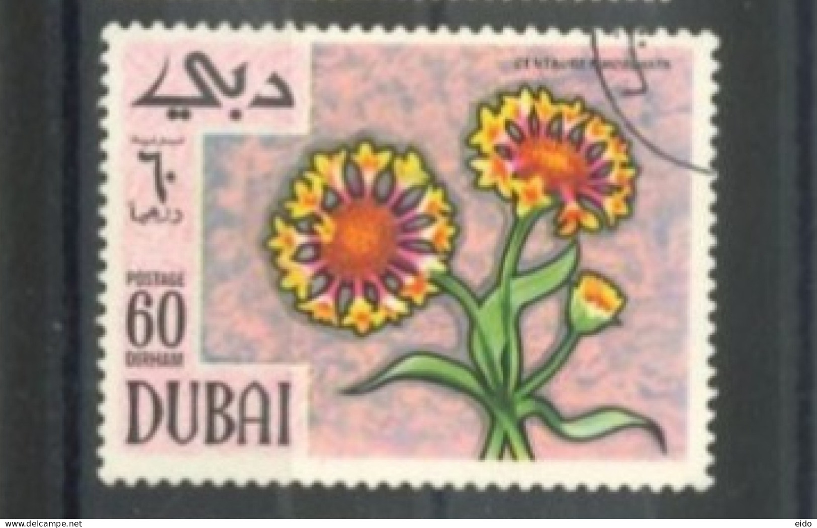 UNITED ARAB EMIRATES :1968, CENTAUREA MOSCHATA FLOWER STAMP, S.G. # 296, USED. - Dubai