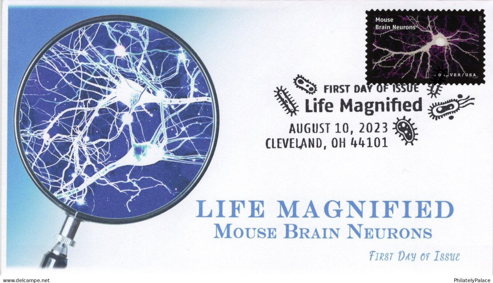 USA 2023 Life Magnified,Mouse Brain Neurons,Neuroscientists,Nerve Cells, Pictorial Postmark, FDC Cover (**) - Covers & Documents