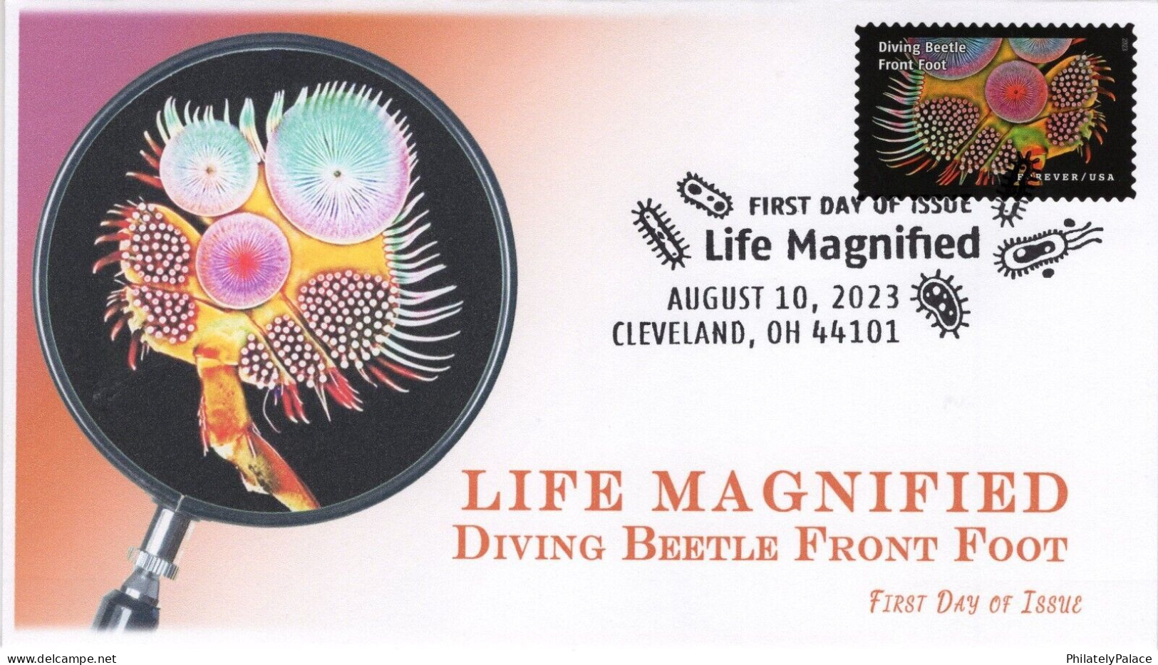 USA 2023 Life Magnified,Dytiscidae, Pictorial Postmark,Diving Beetles, Insect,Arthropoda, FDC Cover (**) - Covers & Documents