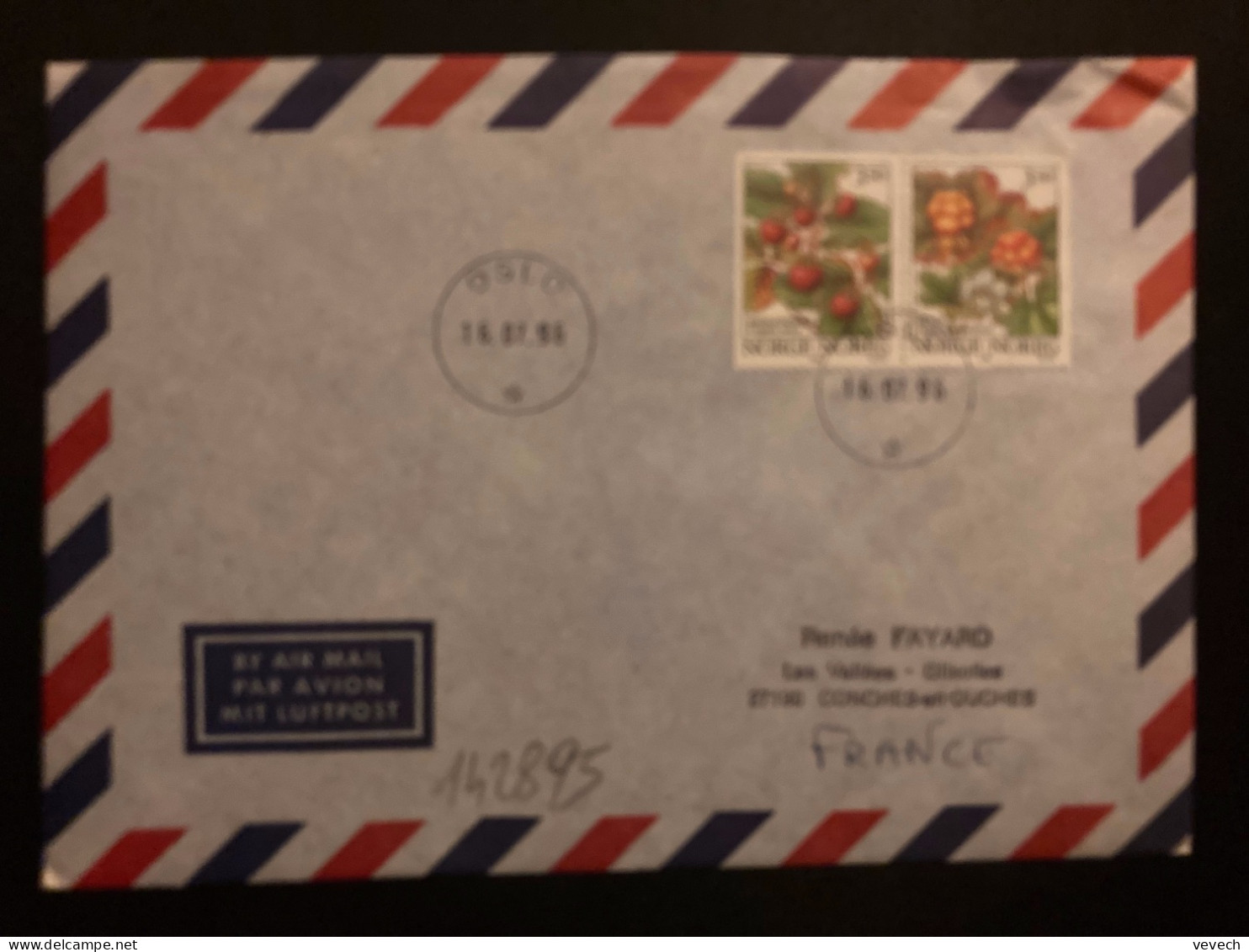 LETTRE Par Avion Pour La FRANCE TP MARKJORDBAEA 3 50 + MOLTE 3 50 OBL.16 07 96 OSLO - Storia Postale