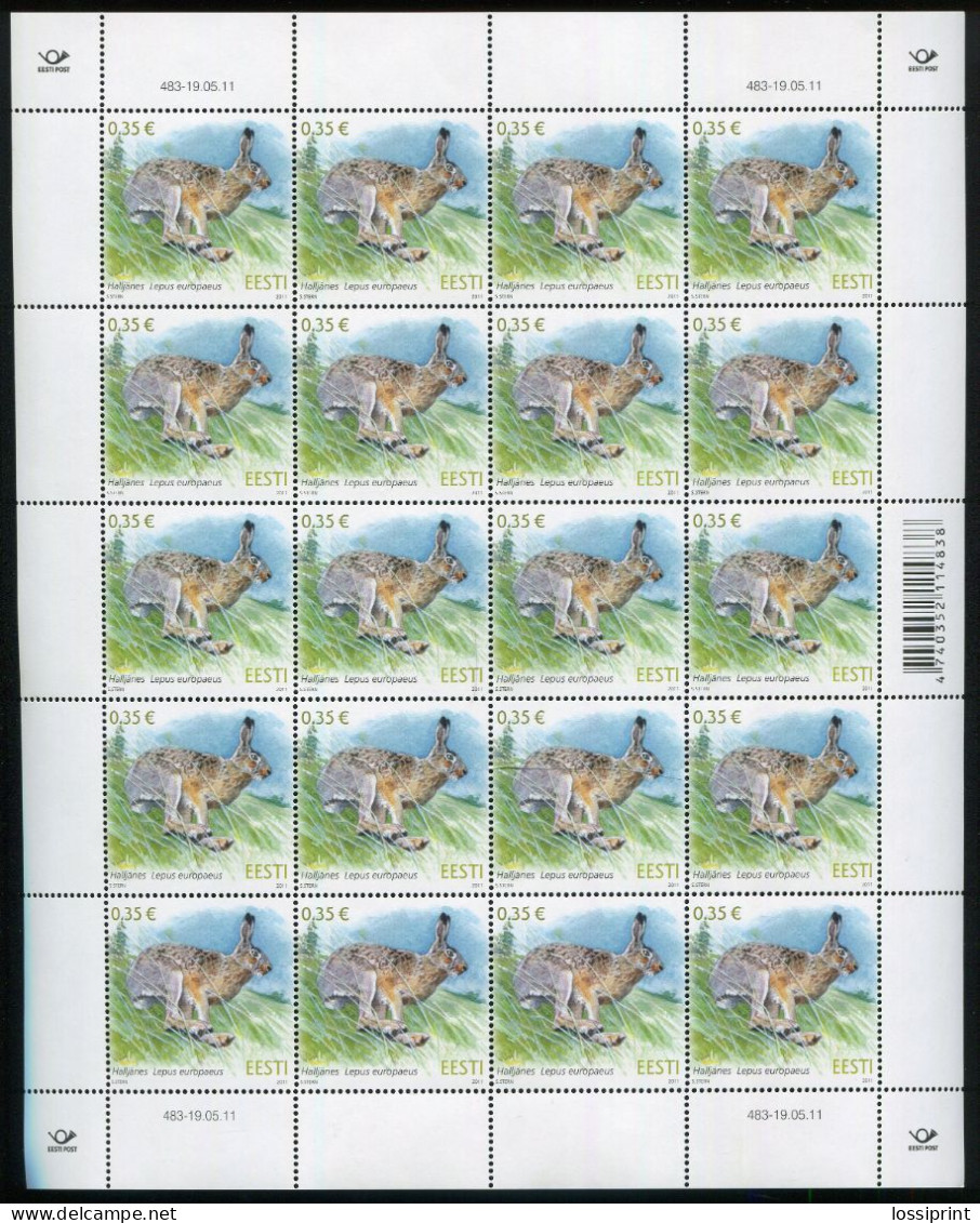 Estonia:Unused Sheet Rabbit, Lepus Auropaeus, 2011, MNH - Estonie