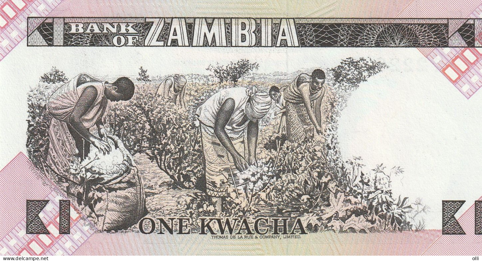 Zambia 1 Kwacha  ND/1980-1981 P-23  UNC - Zambie