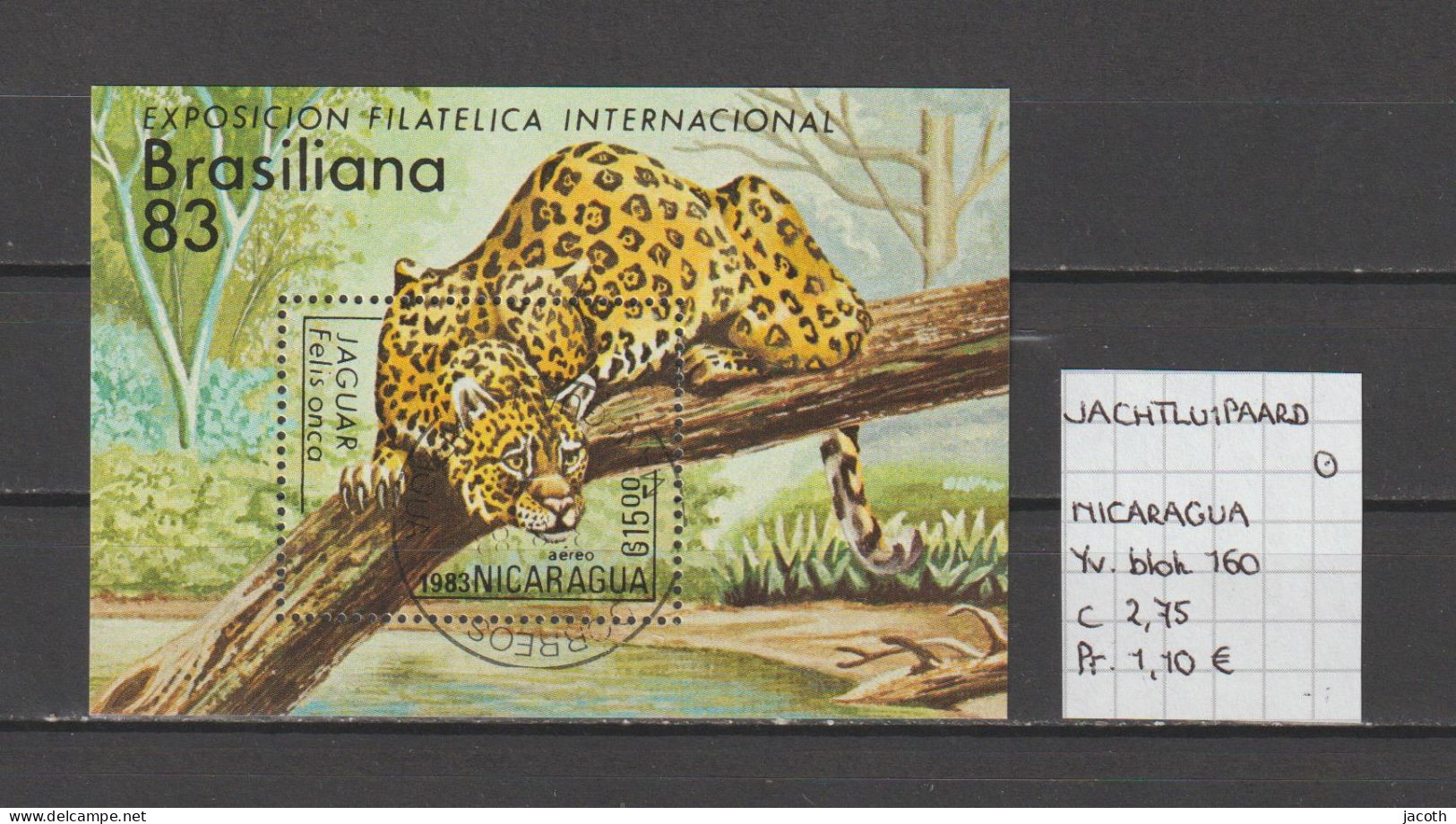 (TJ) Zoogdieren - Katachtigen - Jachtluipaard - Nicaragua YT Blok 160 (gest./obl./used) - Sonstige & Ohne Zuordnung