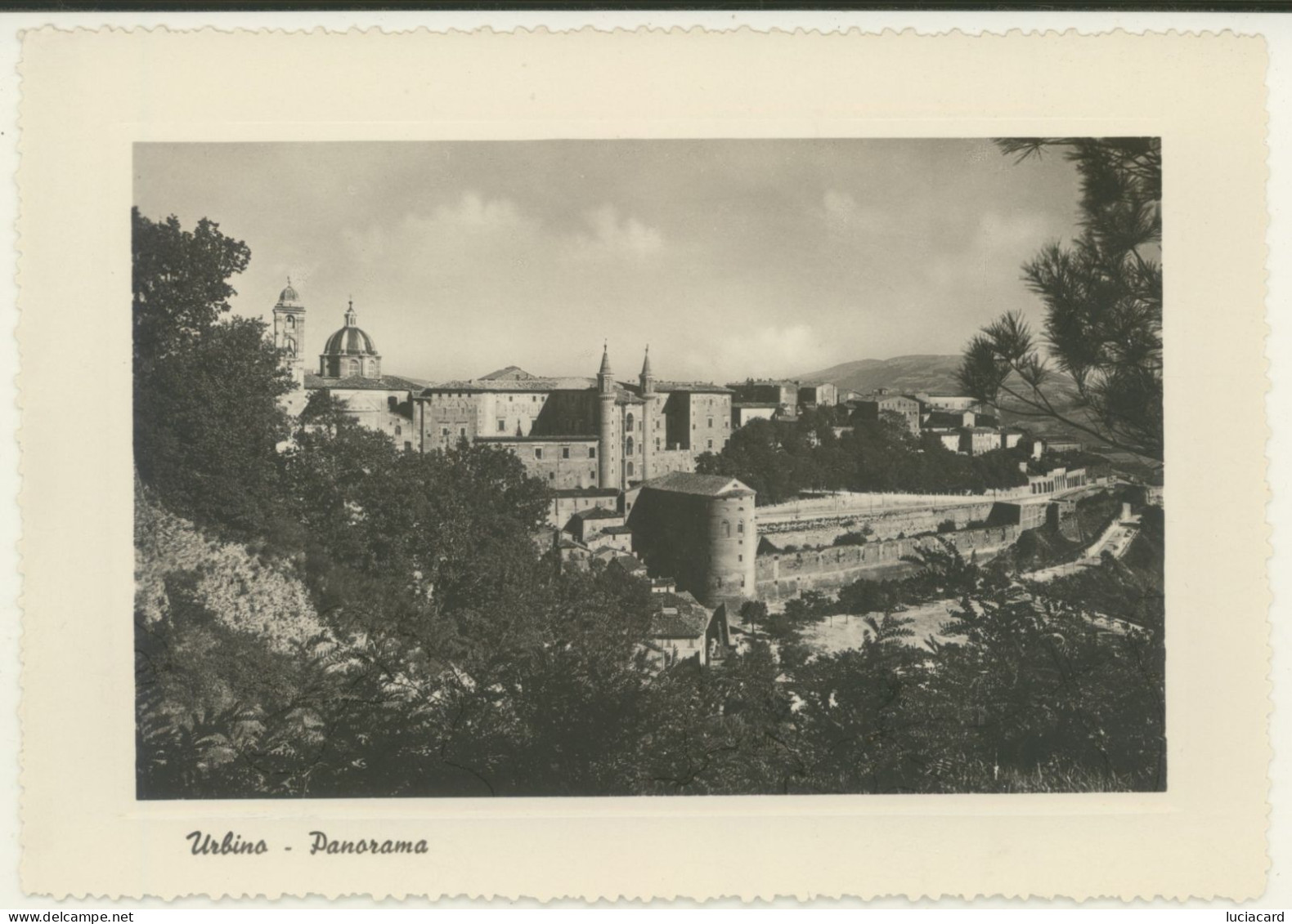 URBINO -PESARO -PANORAMA - Urbino