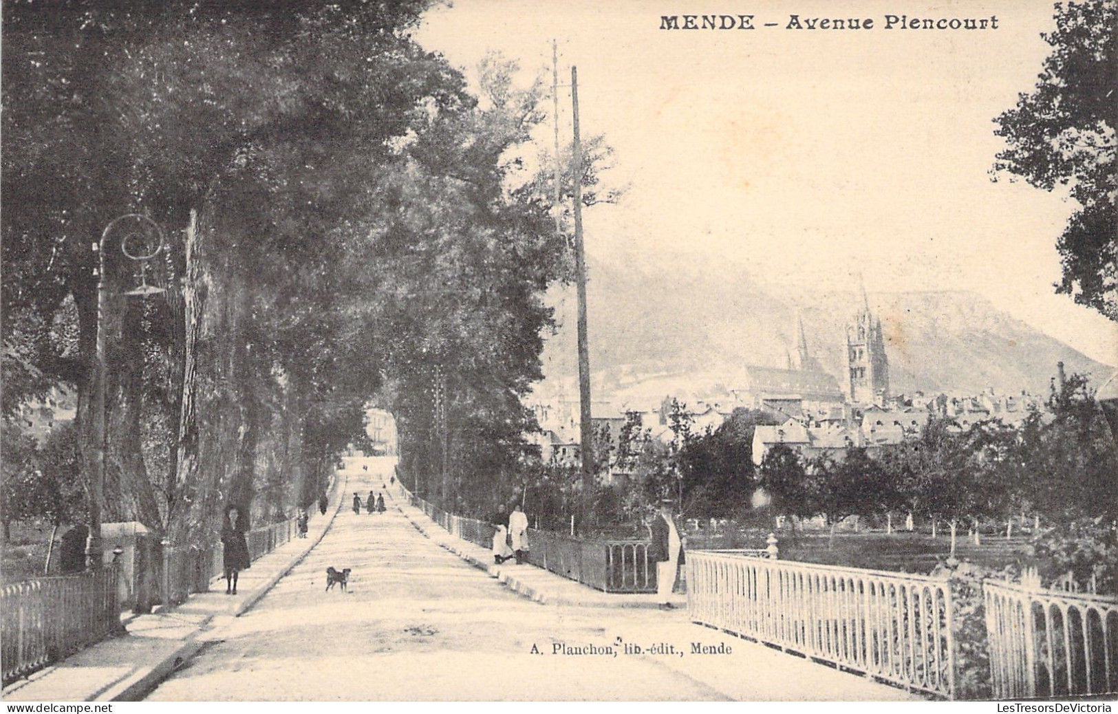 FRANCE - Mende  - Avenue Plencourt - Lozere - Carte Postale Ancienne - Mende