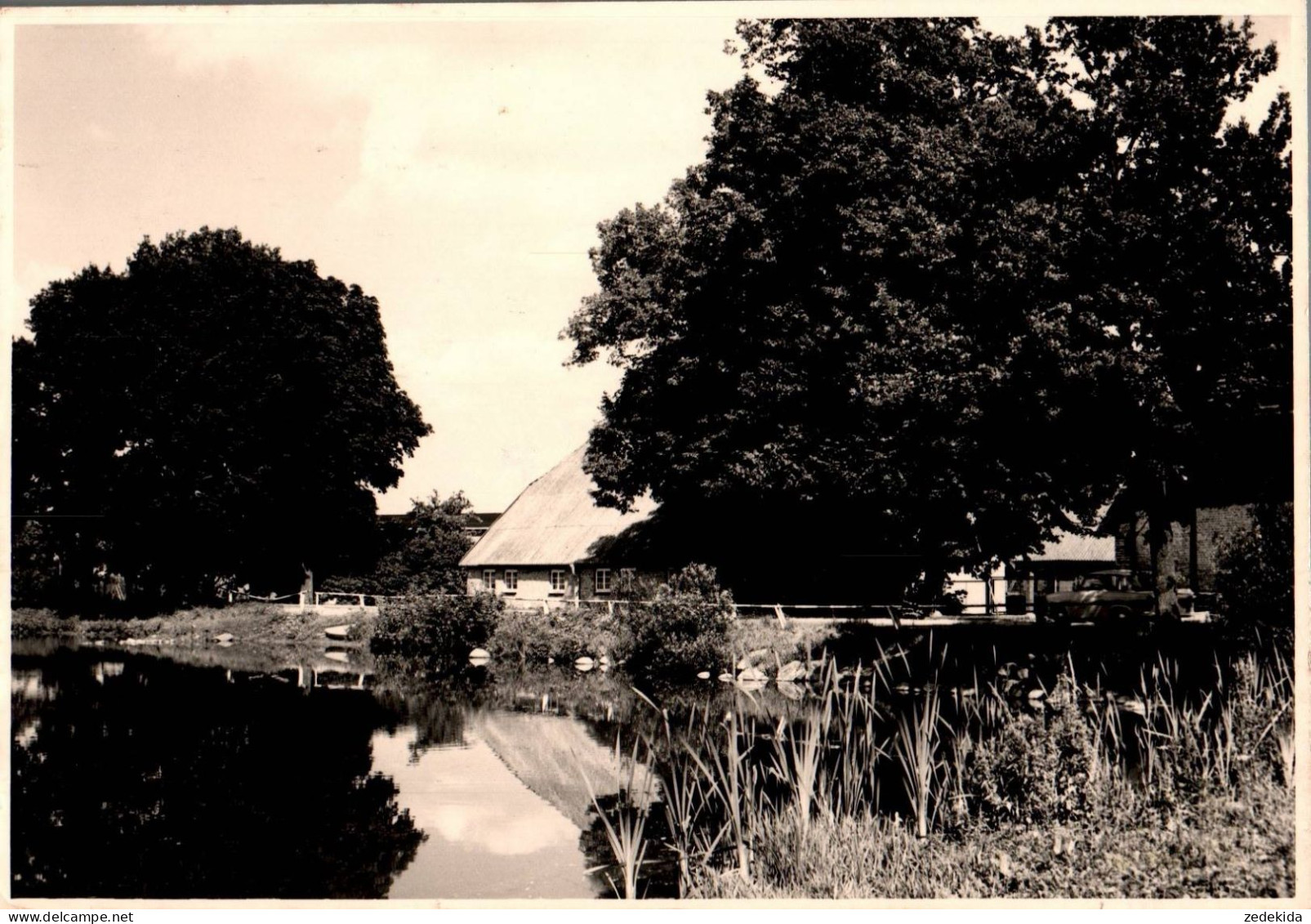 G6982 - TOP Foto Zeiss Rehna - Gel Grevesmühlen - Grevesmuehlen