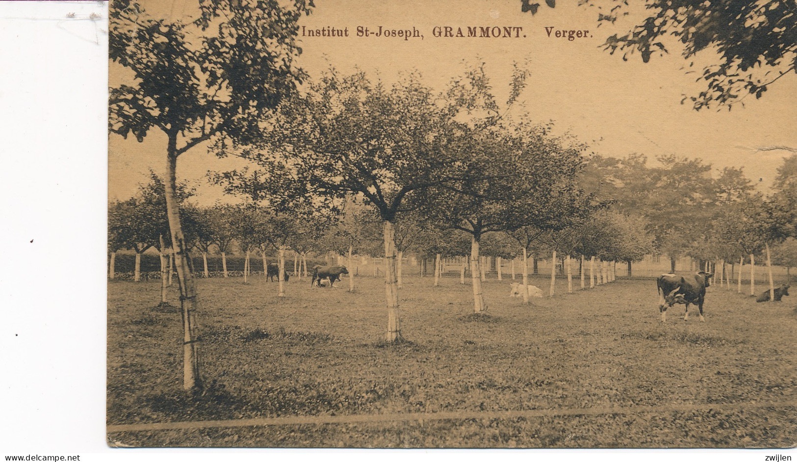 Grammont - Geraardsbergen - Institut St Joseph Verger Karmelieten St Jozefsinstituut - Geraardsbergen