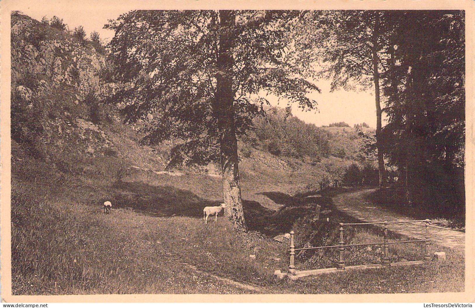 BELGIQUE - Marche En Famenne - Le Fond Des Vaulx - Carte Postale Ancienne - Marche-en-Famenne