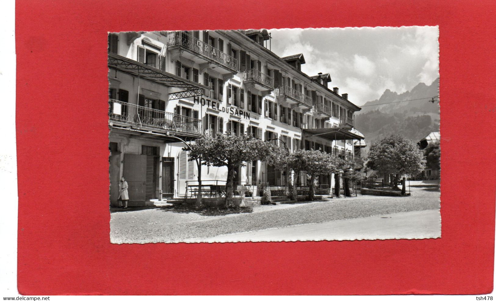 SUISSE----CHARMEY---Hôtel Du Sapin---voir 2 Scans - Charmey