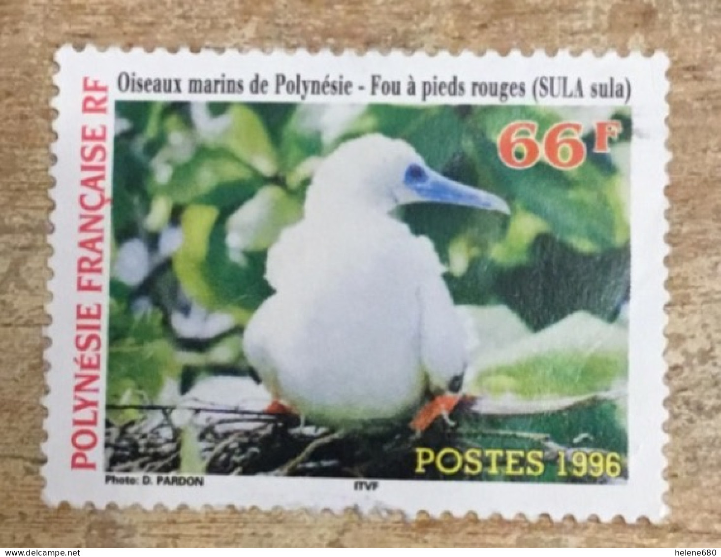 POLYNÉSIE. Oiseaux Marins N° 510 - Gebraucht