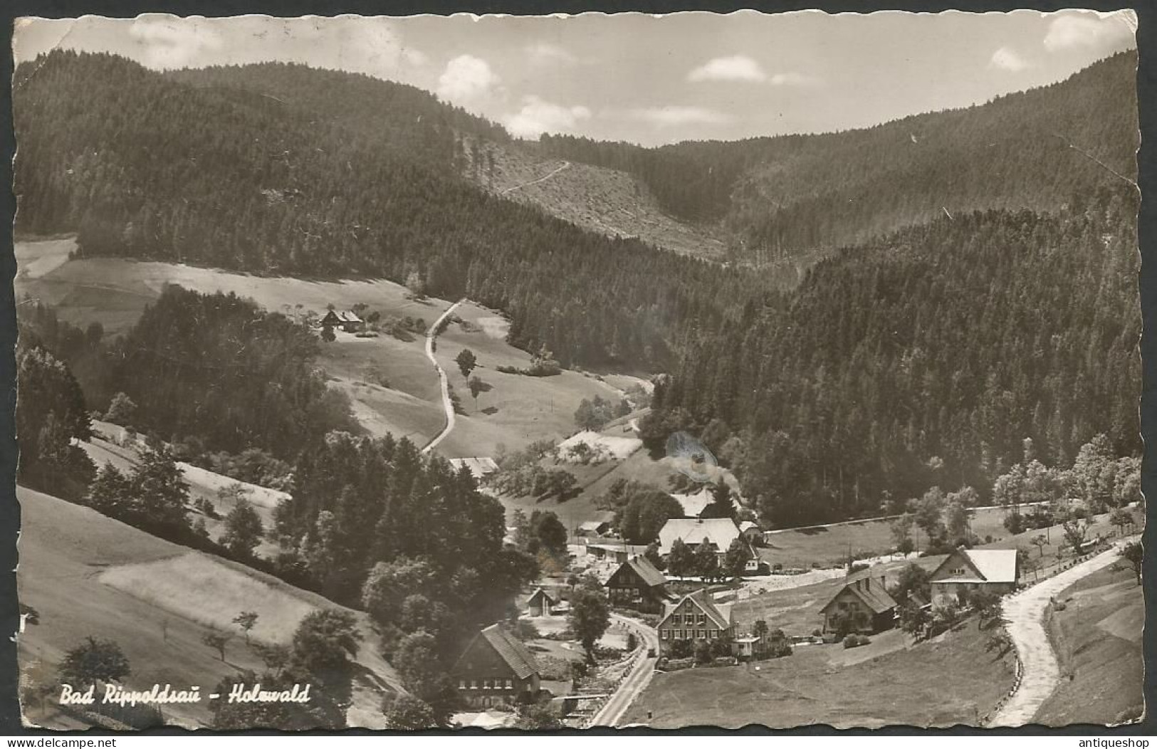 Germany-----Bad Rippoldsau-Schapbach-----old Postcard - Bad Rippoldsau - Schapbach