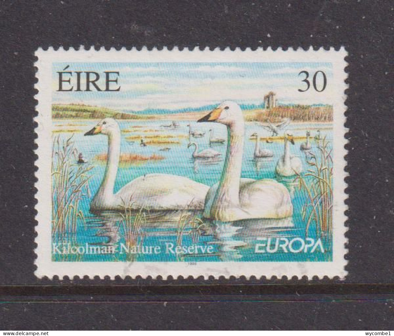 IRELAND - 1999  Swans  30p Used As Scan - Oblitérés