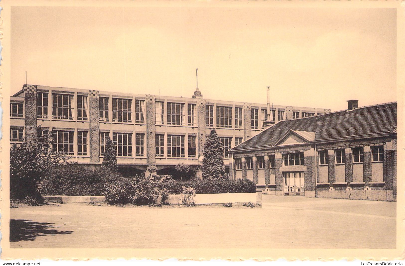 BELGIQUE - Montegnée - Ecole Fleurie - Centre - Carte Postale Ancienne - Sonstige & Ohne Zuordnung