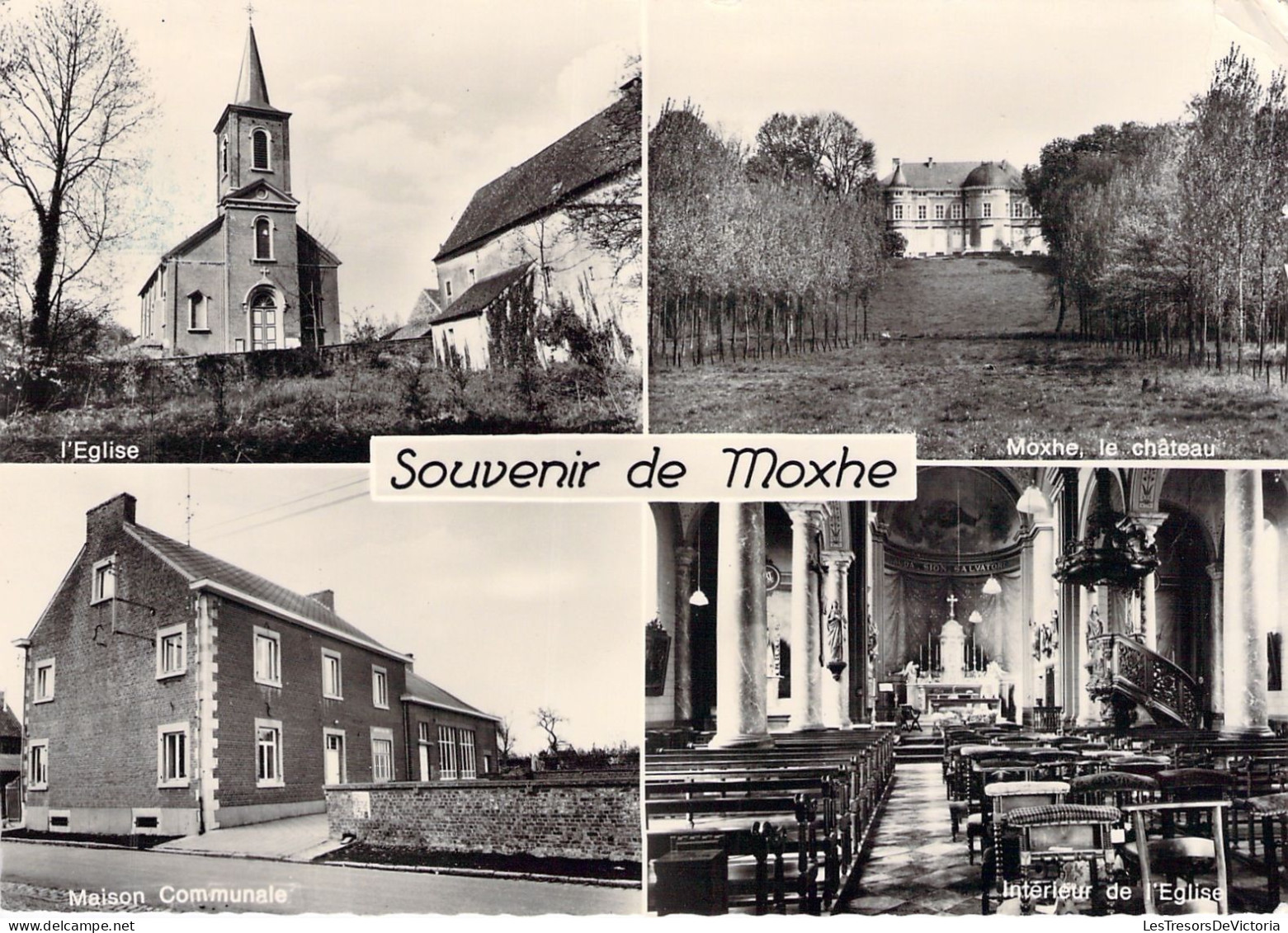 BELGIQUE - Souvenir De Moxhe - Carte Multivues - Carte Postale Ancienne - Sonstige & Ohne Zuordnung